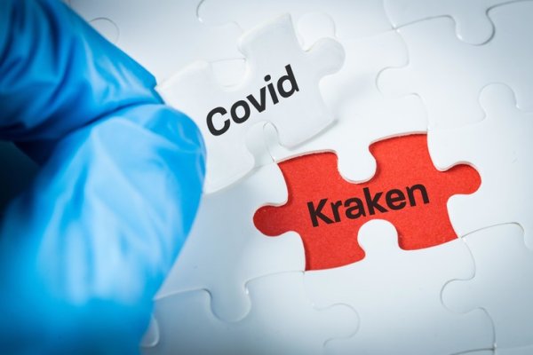 Kraken com darknet