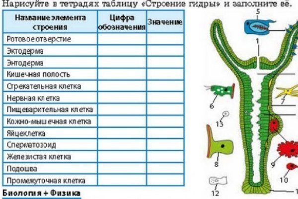 Kit kraken официальный сайт