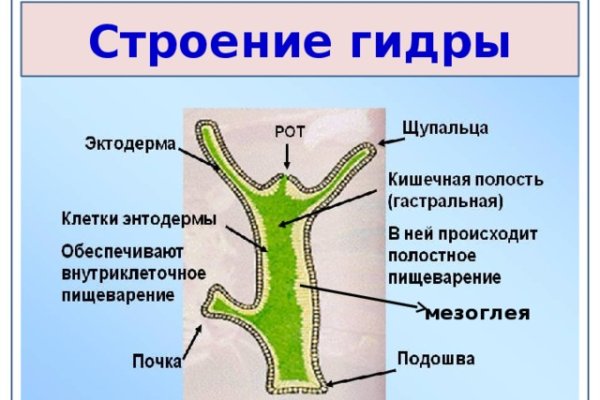 Кракен сайт ссылка тор браузере