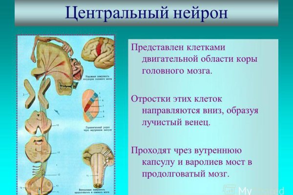 Браузер для кракен